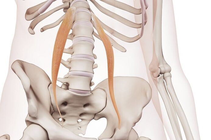 Spinální osteochondroza v bederní oblasti je podstatou onemocnění